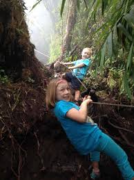 You can book these over the internet, or through tour agencies in kuala lumpur on arrival. Hiking The Cameron Highlands Malaysia With Kids Our Family Gap Year
