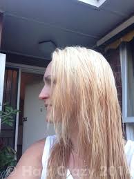 How to bleach your hair at home. General Questions About Bleaching Forums Haircrazy Com
