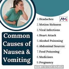 Image result for Nausea Causes