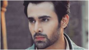 The new hindi song is sung naagin 3 stars anita hassanandani and pearl v puri's music video peerh meri has finally been. Actor Pearl V Puri Extends Helping Hand For More Than 100 Spot Boys Says Will Always Do What I Can For People In Need