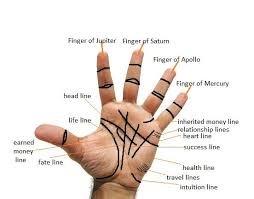 Definition of pinky finger in the definitions.net dictionary. Short Little Finger Pinky Finger On Hand In Palmistry Indian Palm Reading Hast Rekha Gyan
