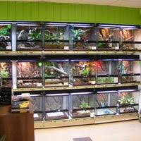 Which exotic pets are legal in pennsylvania? Exotic Pets Supplies Isle Of Wight Pet Store In Newport