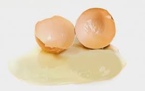 Hasil gambar untuk kandungan putih telur