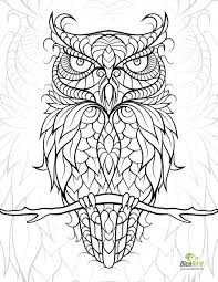 Pin On Coloring Pages