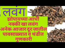 According to ayurveda, cloves improve circulation, digestion, and metabolism. Lawang Benefits à¤²à¤µ à¤—à¤š à¤…à¤¨ à¤• à¤« à¤¯à¤¦ à¤¨à¤• à¤• Try Kara Techytalk20 Youtube