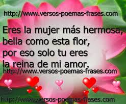 Pin On Te Amo