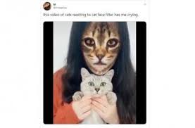 Cara membuat video animasi mudah lalu, reaksi seperti apa yang kamu harapkan dari audiens dari video tersebut. Viral Video Filter Kucing Di Snapchat Ilmuwan Ungkap Fakta Di Baliknya Hitekno Com