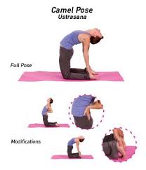 Pin On Yoga Beginners Poses