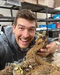 Denise Aubry's Instagram, Twitter & Facebook