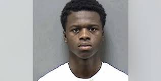 32-year-old man charged in connection with incidents at Haban Park in Mount  Pleasant avoids trial