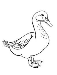 Your kids will increase their vocabulary by learning about different anima. 38 Goose Coloring Pages And Embroidery Ideas Coloring Pages Coloring Pages For Kids Animal Coloring Pages
