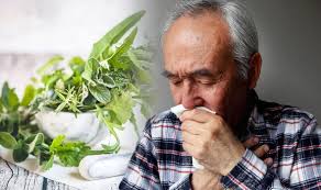 Cough Remedies Banish A Chesty Dry Or Tickly Cough With Tea Containing Thyme Express Co Uk