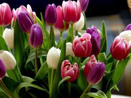 8 марта международный женский день! S 8 Marta Otkrytki Kartinki Pozdravleniya V Stihah I Proze