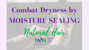 How to blow dry natural hair. Combat Dryness By Moisture Sealing Natural Hair Natural Hair Nysa