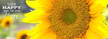 We did not find results for: Sonnenblumen Glucksbroschure Vorlage Postermywall