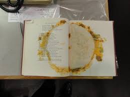 Robert Gray Book Em Danno Shelf Awareness