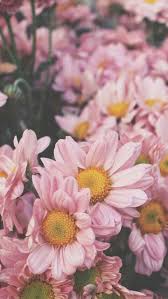 Pin By Sierra Davis On Wallpaper Pink Flowers Wallpaper Tumblr Flower Flower Iphone Wallpaper