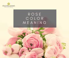 Rose Gold: Hex Code, Shades, And Design Ideas - Picsart Blog