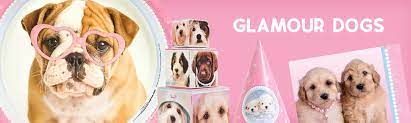 Check spelling or type a new query. Dog Birthday Party Supplies Wholesale Party Supplies