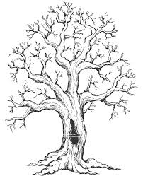 Aesthetic tree stock photos and images. 25 Beautiful Tree Drawing Examples From Around The World