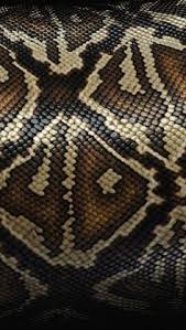 Résultat de recherche d'images pour "ubuntu wallpaper snake skin"