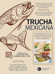 Como Llega La Trucha A Mexico Recetas De Comida Mexicana Comida Mexicana Recetas De Comida