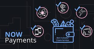 The best crypto wallets are essential for managing your cryptocurrency investment. Custodial Vs Non Custodial Crypto Services Review Nowpayments