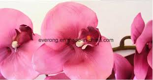 Check spelling or type a new query. Artificial Green Cymbidium Orchid Stems Artificial Flowers Silk Purple Artificial Phalaenopsis Orchid Flower Suppliers China Artificial Orchid Flower And Wedding Artificial Flowers Price Made In China Com
