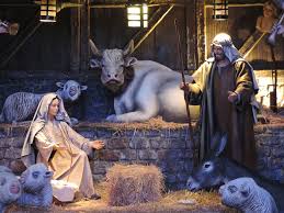 Dua bayi dalam palungan : Natal Palungan Yesus Foto Gratis Di Pixabay