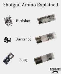 The name is based on the measurement size of a lead sphere that fits directly inside the shotgun barrel. Shotgun Shells Explained Types Of Ammo Birdshot Buckshot Slugs