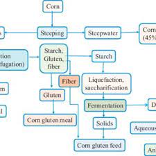 Corn Dry Milling Process Flow Diagram Download Scientific Diagram