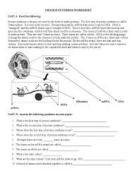 Trna and mrna transcription worksheet with answer key / the anticodon is the complementary three nucleotide sequence in the appropriate trna. Protein Synthesis Worksheet 2018 Translation Biology Messenger Rna