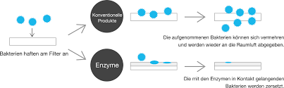 Informationen Zu Lysozym