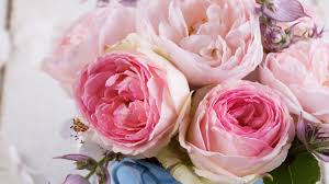 Wallpaper rose flower bouquet images hd. Wallpaper Pink Roses Flowers Bouquet 2560x1920 Hd Picture Image