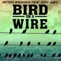 Bird On A Wire Action Bronson Lyrics Bird On A Wire By Action Bronson And Riff Raff Samples Covers And Remixes Whosampled