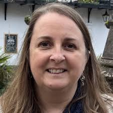 UK Parliamentary general election: The 7 candidates in Frome and East  Somerset