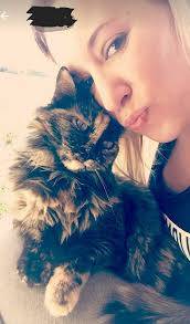 Lost indoor/outdoor cat in Parkside area