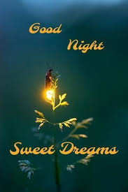 Share & chat on india's own social network. 160 Best Love Romantic Good Night Image For Your Lover