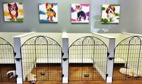 See more ideas about dog hotel, pet hotel, dog daycare. You Can Travel To The Website For More Best Photographs Dog Kennels Near Me Love Funny Dog Funny Kennels L Dog Boarding Ideas Dog Hotel Dog Grooming Shop