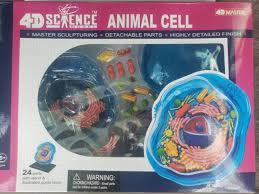 I bought the animal and plant cell models as displays for my college biology course. Famemaster 4d Science Animal Cell Anatomy Model Toys Games Other Educational Toys Toys Hobbies