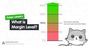 Check spelling or type a new query. What Is Margin Level Babypips Com
