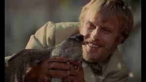 All the Haunts Be Ours: A Compendium of Folk Horror Vol. 1 [15-Disc Bl