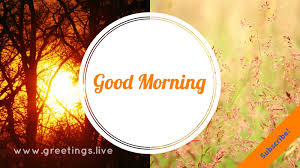 Maybe you would like to learn more about one of these? Greetings Live Free Daily Greetings Pictures Festival Gif Images Free Youtube Channel Arts On Good Morning