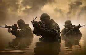 Image result for sas