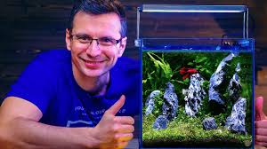 Learn about the best filters for betta tanks, so you can get the right one to suit their needs. Betta Fish Tank Setup Non Co2 Aquascape With Built In Filter Youtube