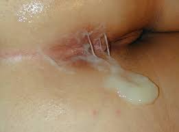 Creampies vaginal