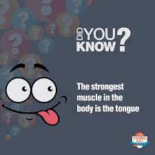 Challenge them to a trivia party! A Fun Fact To Start Off A Glorious Day Clyic Funfact Facts Education Science Innovation Thoughtoftheday Knowledge Fun Facts Strong Muscles Interactive