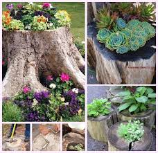 We did not find results for: Diy Hollowed Tree Planters Tutorial