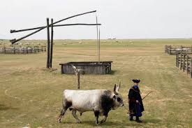 Orszagos Gulyasverseny Es Pasztortalalkozo National Herdsmen S Competition And Meeting Hortobagy Hungary Ungarn Budapest Sehenswurdigkeiten