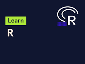 Learn R | Codecademy